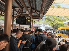 -普陀山风景名胜区-法雨禅寺