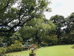 -申粤轩酒楼·三十年粤菜经典(丁香花园店)