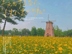 -顺峰山公园