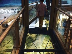 iphone_upload_pic-元代水闸遗址博物馆