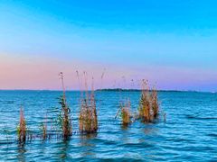 -阳澄湖半岛旅游度假区