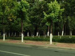 -甜心庄园·甜心草莓采摘园(西青中北店)