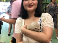 -藦茜花园宠物主题亲子互动体验馆(国顺东路店)