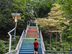 -佛山华盖山公园