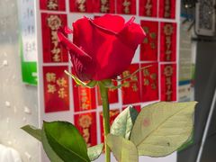 -沪上阿姨·精选茶饮(广州区庄店)