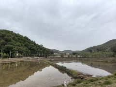 -南泥湾风景区