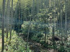 -黄公望隐居地