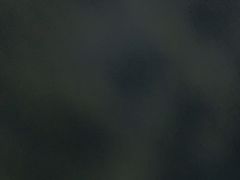 -LOHO眼镜(上海市浦江万达店)