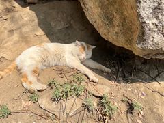 -终南山南五台景区