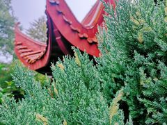 -南岳衡山风景名胜区-南岳大庙