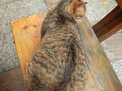 -鱼乐岛餐厅·户外花园主题餐厅