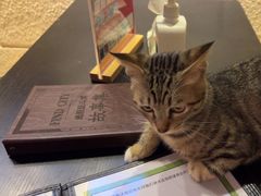 -逃脱反斗城沉浸剧情密室(北京路店)