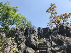 -千岛湖石林