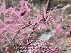 -天津盘山风景名胜区