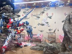 -金鼎雪山牦牛杂火锅(理县总店)