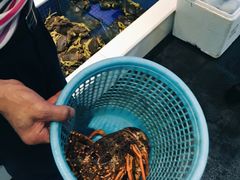 -益利大酒楼(井岸店)