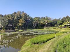 -四季酒店下午茶