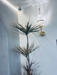 大厅-P.STYLE 派斯造型