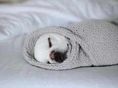 -唐晋人家(源深路店)