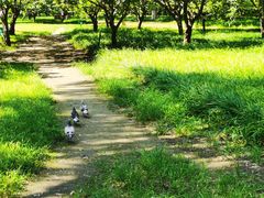 -莲花池公园