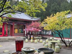 -宫事颐庭·老佛爷贵寿下午茶(颐和园店)