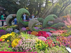 -杭州植物园