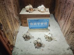 -南昌海洋公园