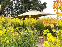 -中国天府农业博览园