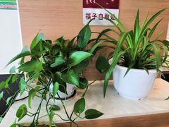 -李先生牛肉面大王(莱芜信誉楼店)