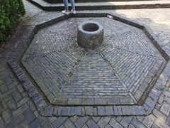 -上海佘山国家森林公园天马山园