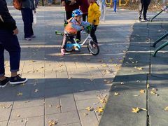 -大兴滨河森林公园