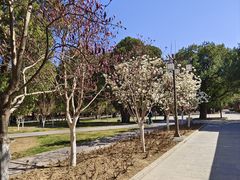 -北京市劳动人民文化宫(太庙)