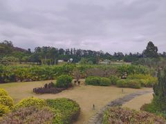 -南沙蒲洲花园