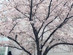 -同济大学(地铁站)