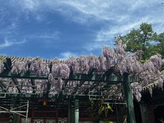 -恭王府博物馆