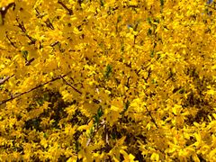 -青州市云门山风景区