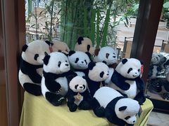 -轩客会(熊猫书店)