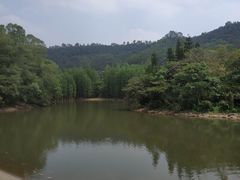 -滴水岩森林公园