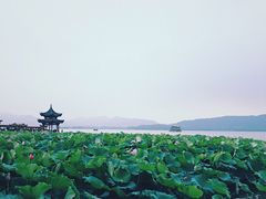 -西湖游船