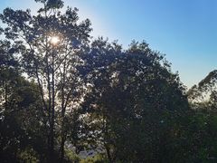 -火炉山森林公园