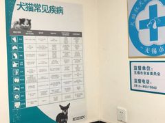 -安安宠医·安宠宠物医院