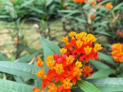 -沙面人才休闲岛