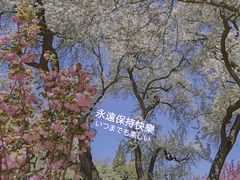 -颐和园