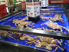 水产区-盒马鲜生(新都心店)