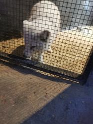 -酷嗒动物文化乐园(cutezoo西溪乐天城店)