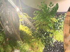 -绿茶餐厅(淮安吾悦广场店)