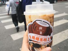 生椰椰奶丸丸-树夏(建设路店)