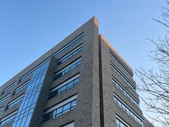 -辣风芹酱香米粉(新疆炒米粉软件园店)