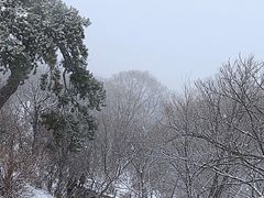 -终南山南五台景区