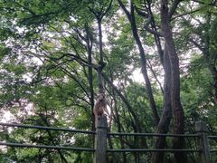 -黔灵山公园